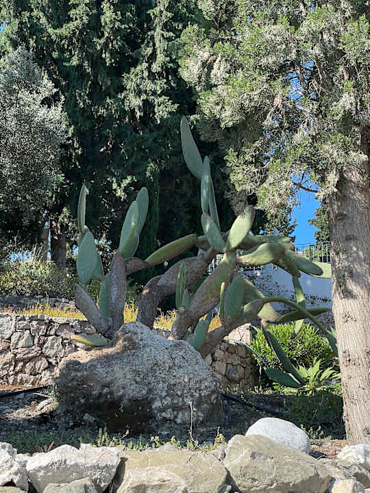 Gartenanlage alltoura Club Hotel Porto Angeli Beach Resort