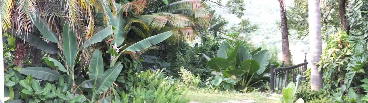 Wie ein Urwald Hotel Hamilton Parks Country Lodge