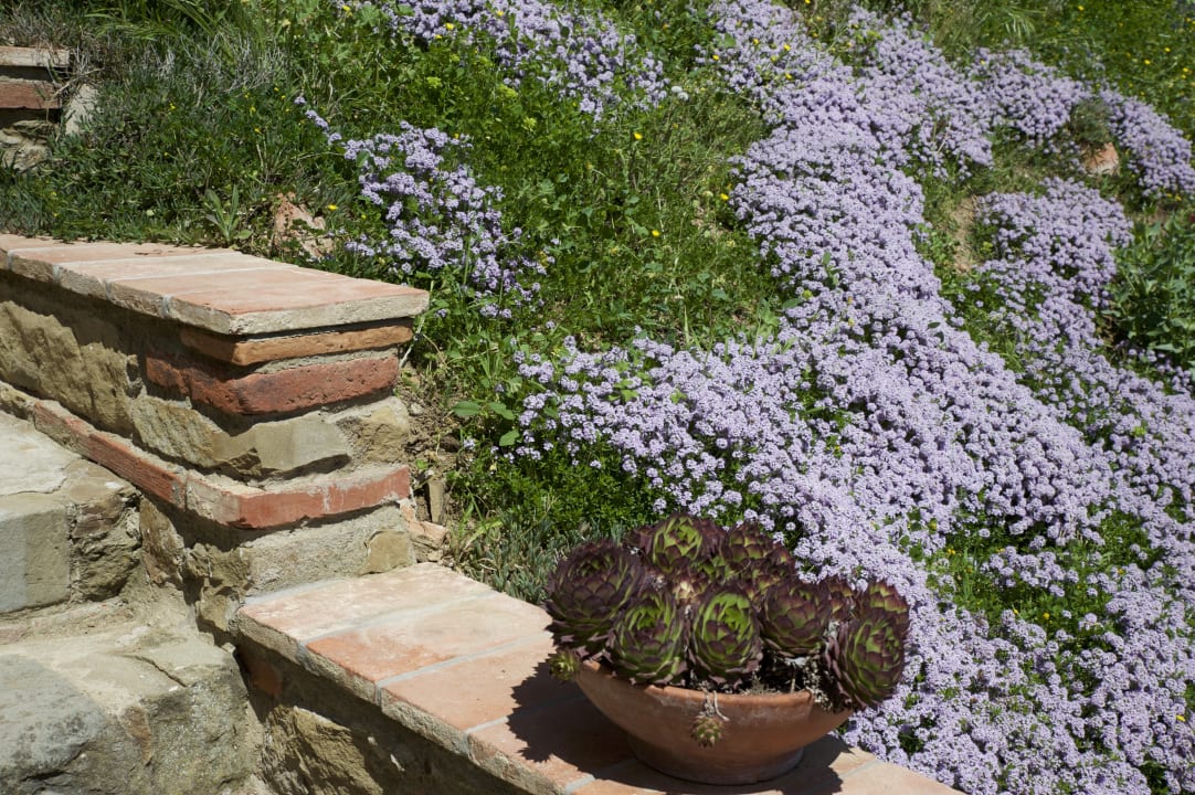Gartenanlage Ventena Vecchia antico frantoio