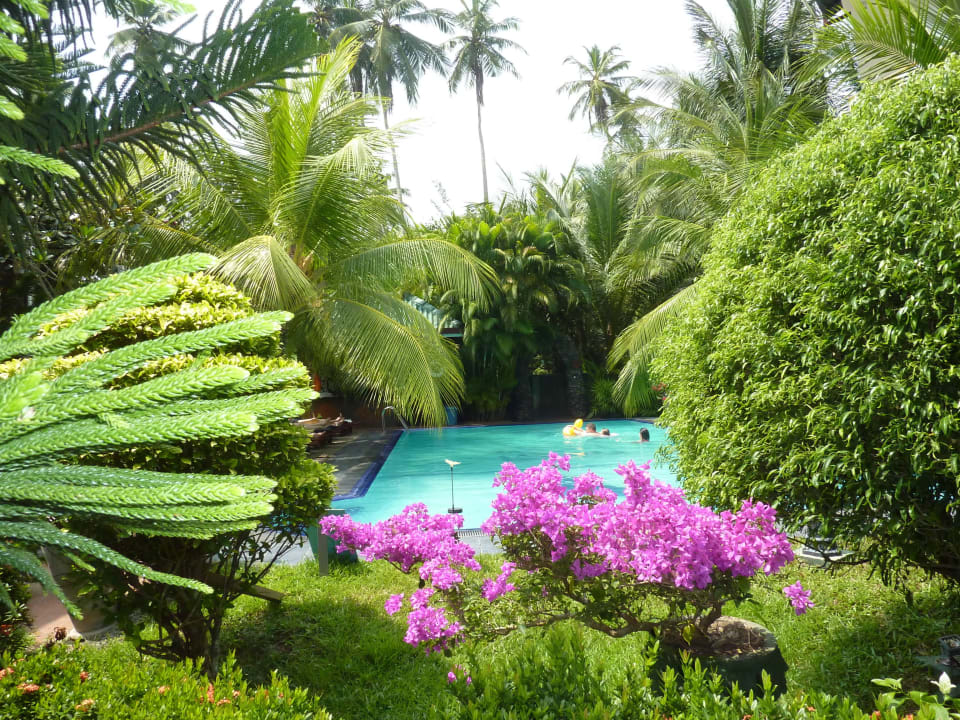 Schöner Pool Hotel Bentota Village