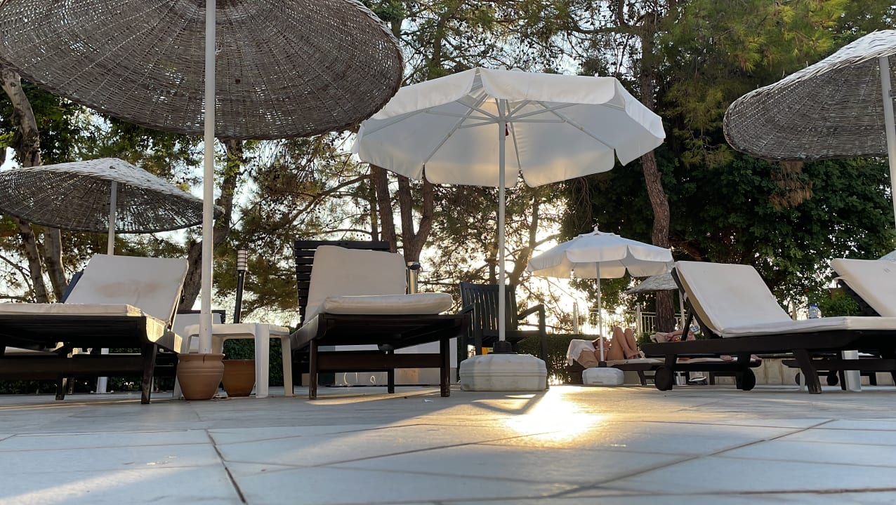 Pool Utopia Beach Club