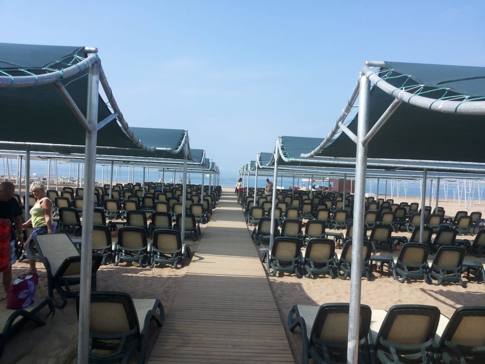 Immer freie Liegen Well Palace Side