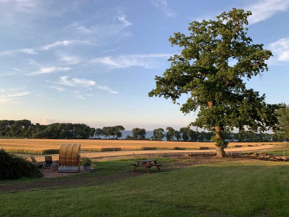 Ausblick Ferienbauernhof Liesenberg mit Meerblick