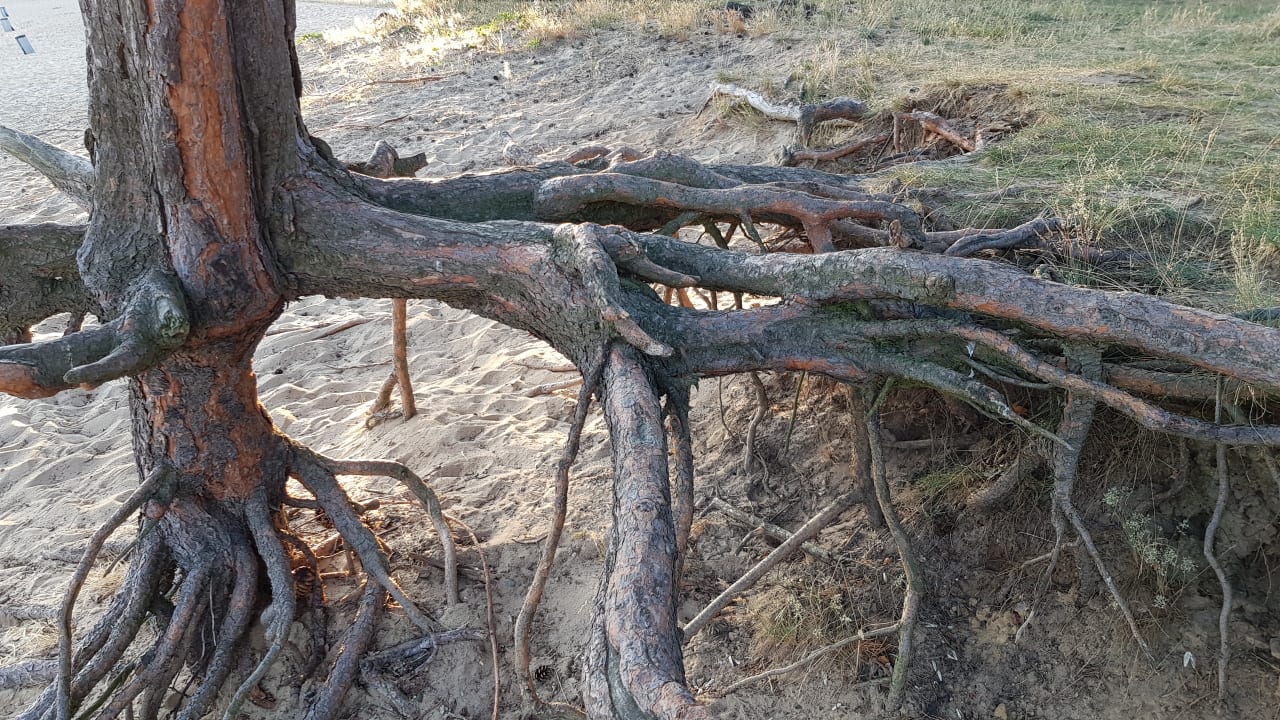 Strand Frankfurter Freizeit- & Campingpark Helene-See