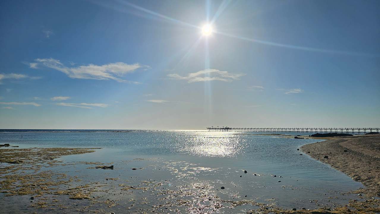 Strand Pickalbatros Sea World Resort - Marsa Alam