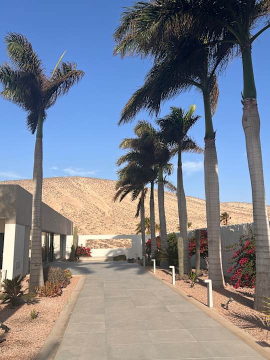 Lobby INNSiDE by Melia Fuerteventura - Adults Only