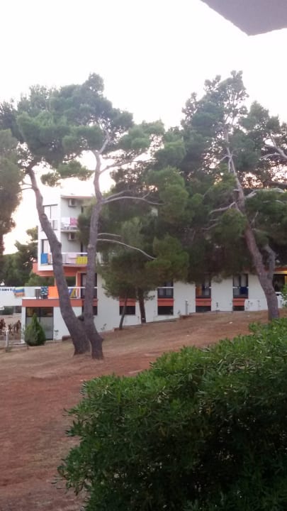 Vom Balkon  Centinera Resort & Camping