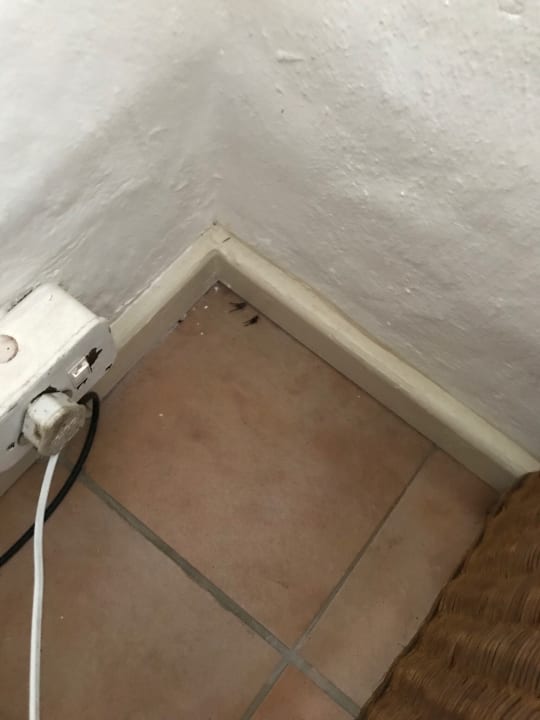 Zimmer Hotel Misty Mountain Reserve