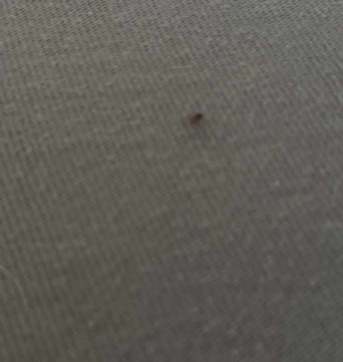 Sonstiges Camping Village Riva Blu