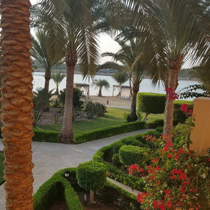 Gartenanlage Steigenberger Coraya Beach - Adults only