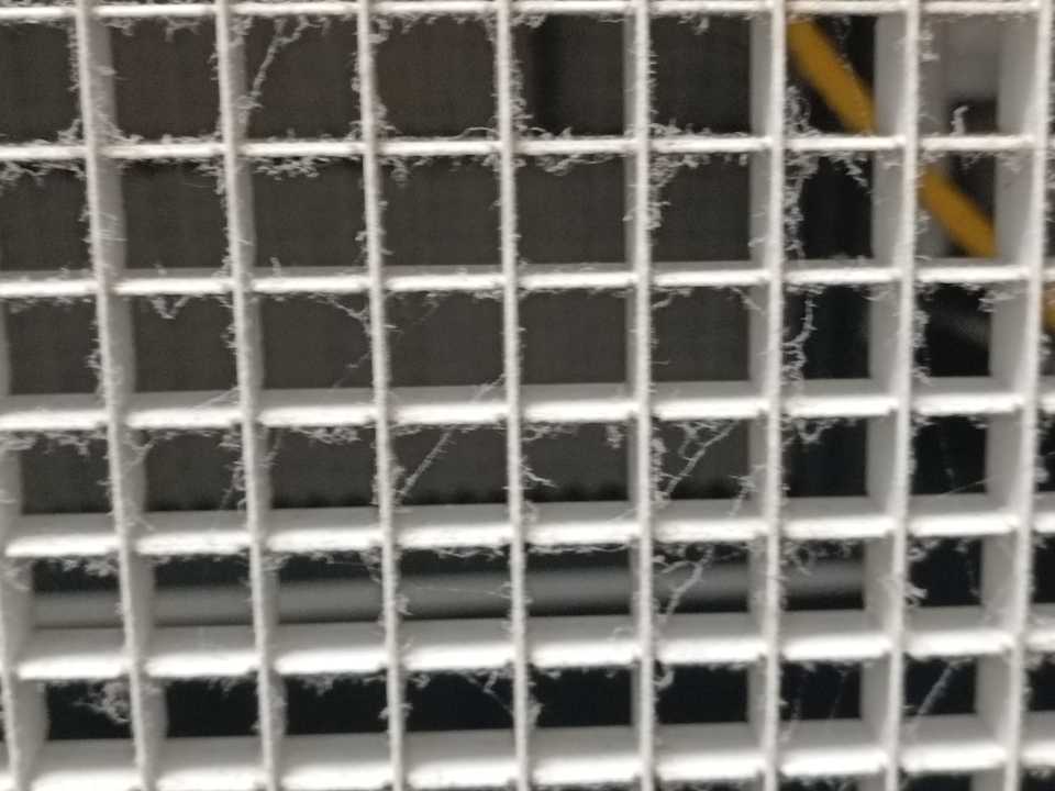 Zimmer Dream Fun World