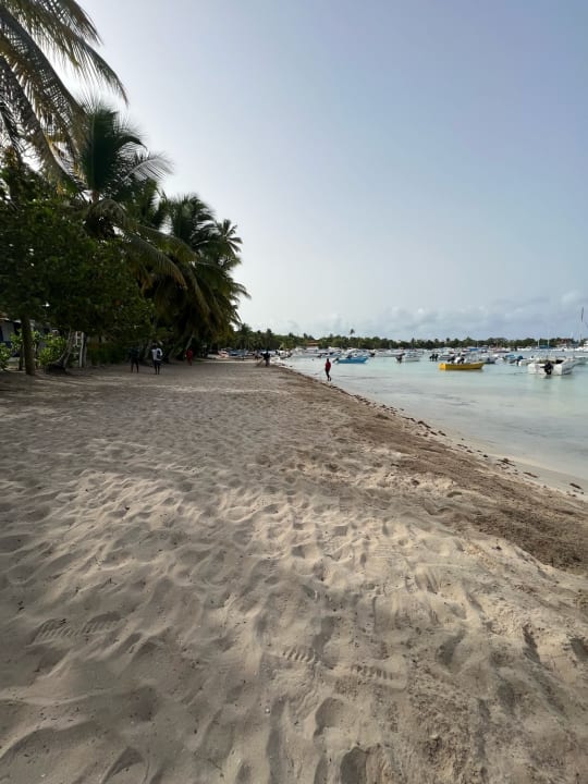 Strand Secrets La Romana Resort & Spa - Adult Only