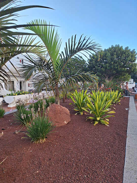 Gartenanlage allsun App.-Hotel Barlovento