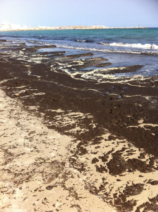 Ist das normal Medina Solaria & Thalasso