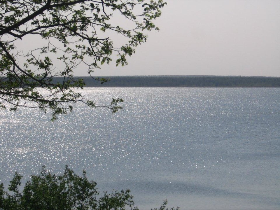Blick zum See Hotel Zur Schiffmühle