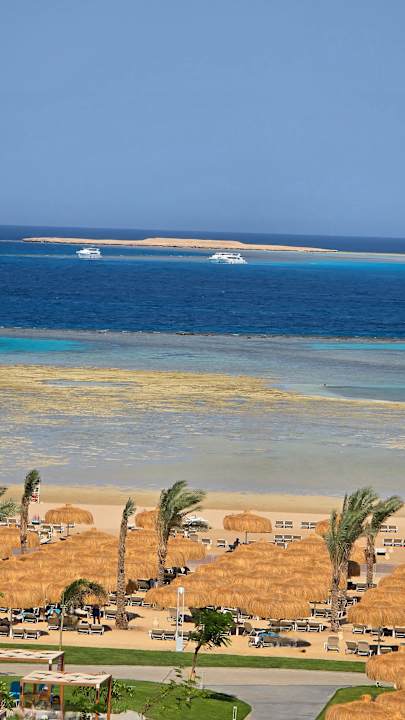 Strand JAZ Elite Asteria