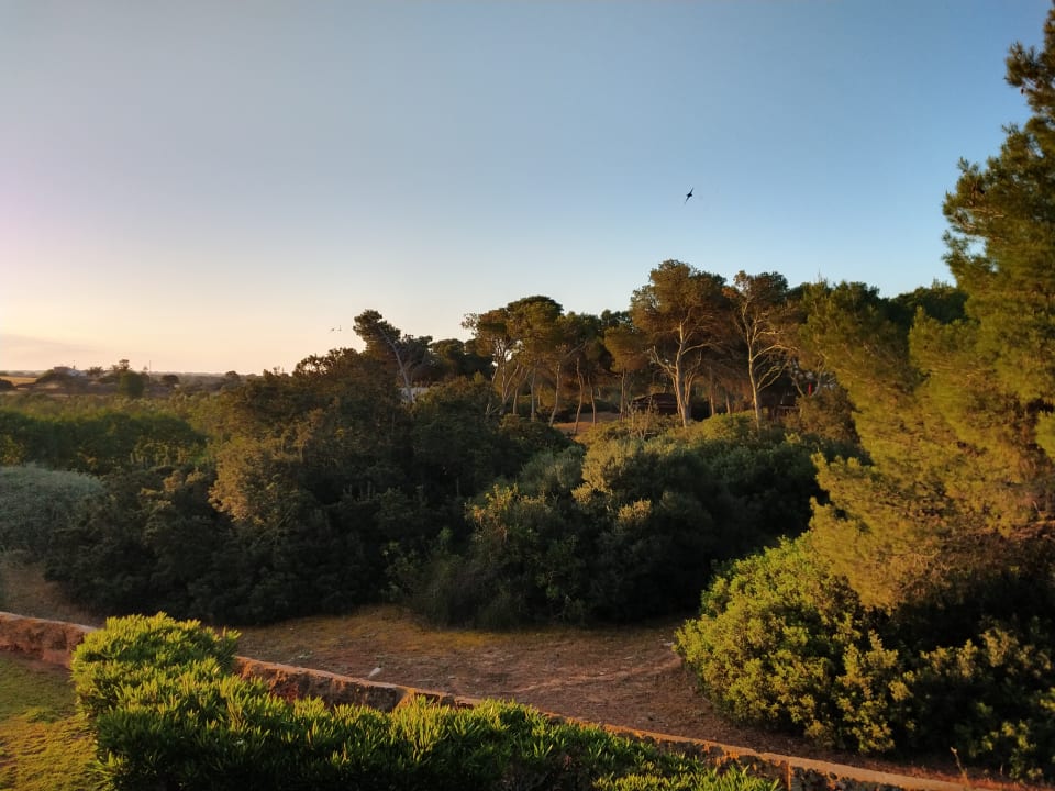 Ausblick Blau Colònia Sant Jordi