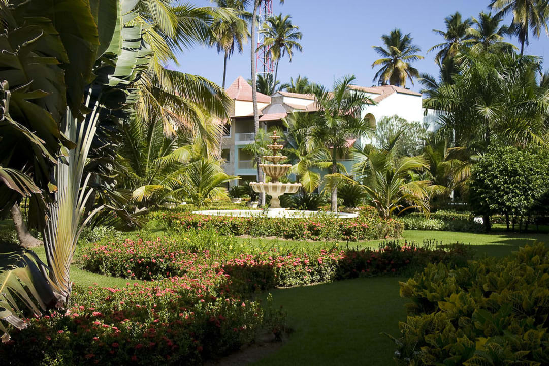 Schöner Garten im alten Bereich TRS Turquesa Hotel - Adults only