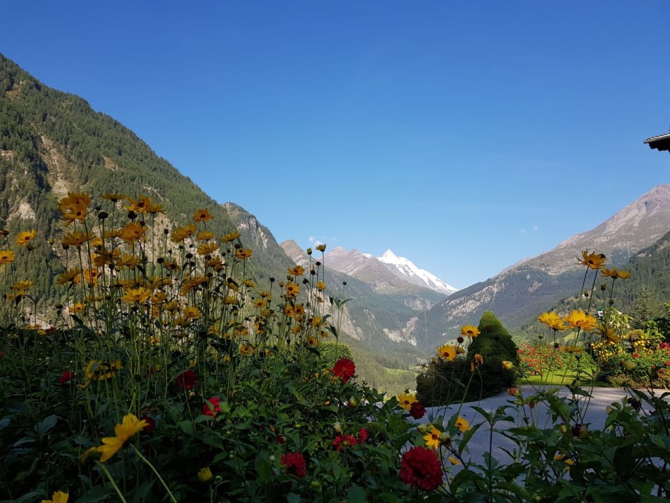 Ausblick Familienpension Gletscherblick