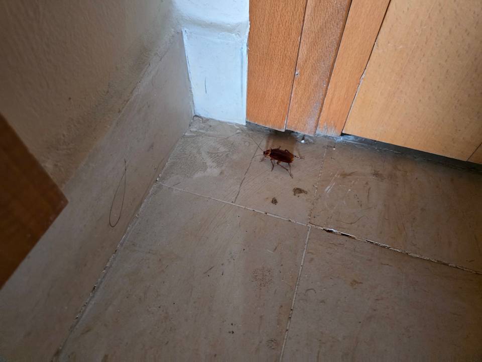 Zimmer Iberostar Selection Kantaoui Bay