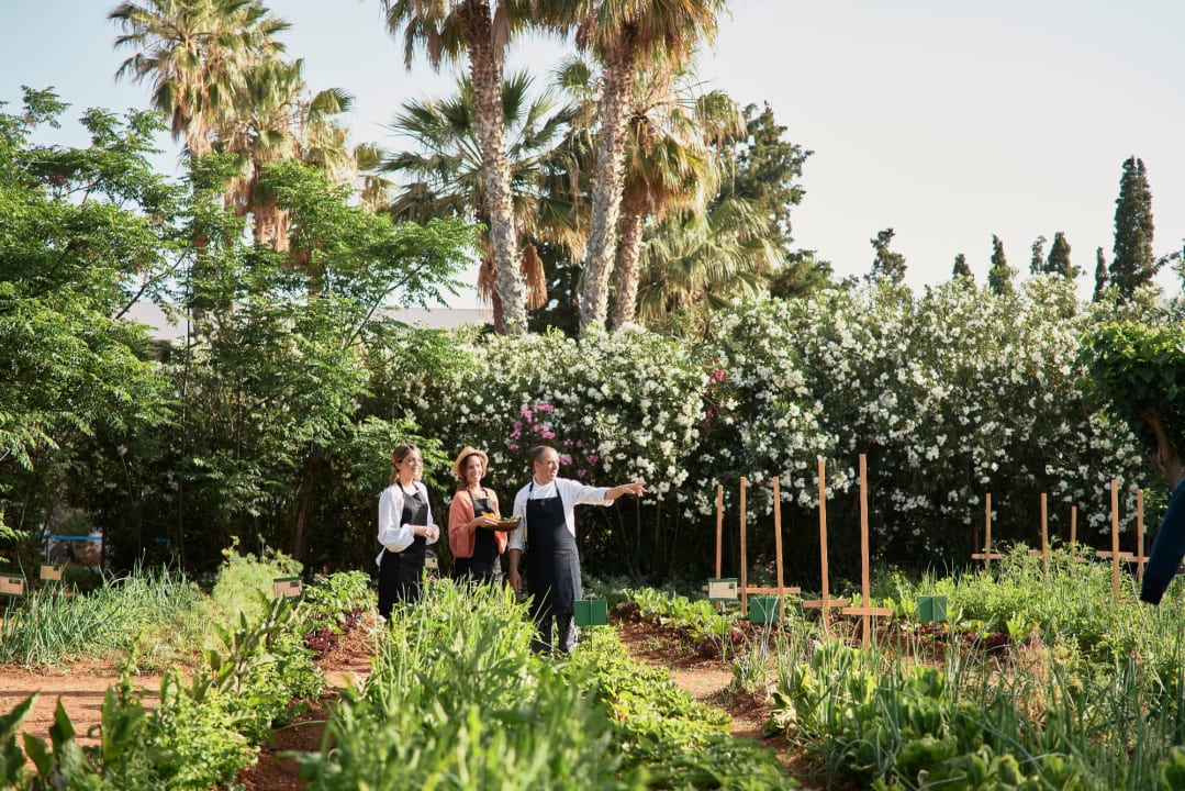 Gartenanlage Phãea Cretan Malia