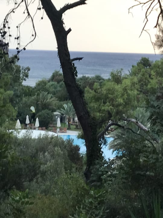 Ausblick TUI MAGIC LIFE Sarigerme