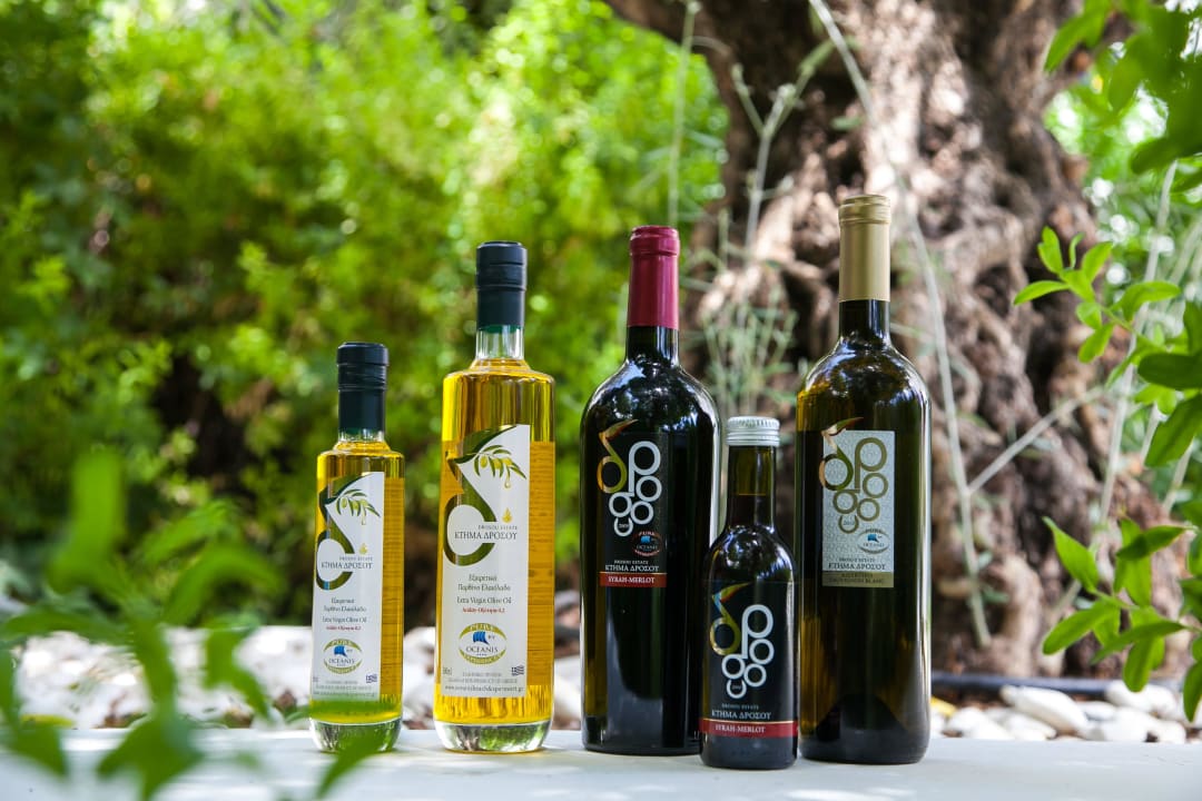 Oceanis Products TUI BLUE Oceanis Beach and Spa Resort