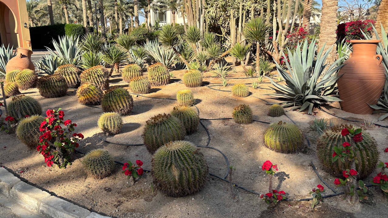 Gartenanlage Steigenberger Coraya Beach - Adults only