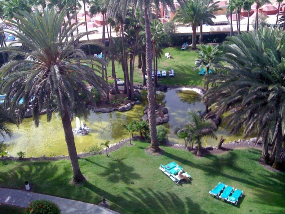 Blick von der Dachterrasse Hotel Riu Palace Oasis
