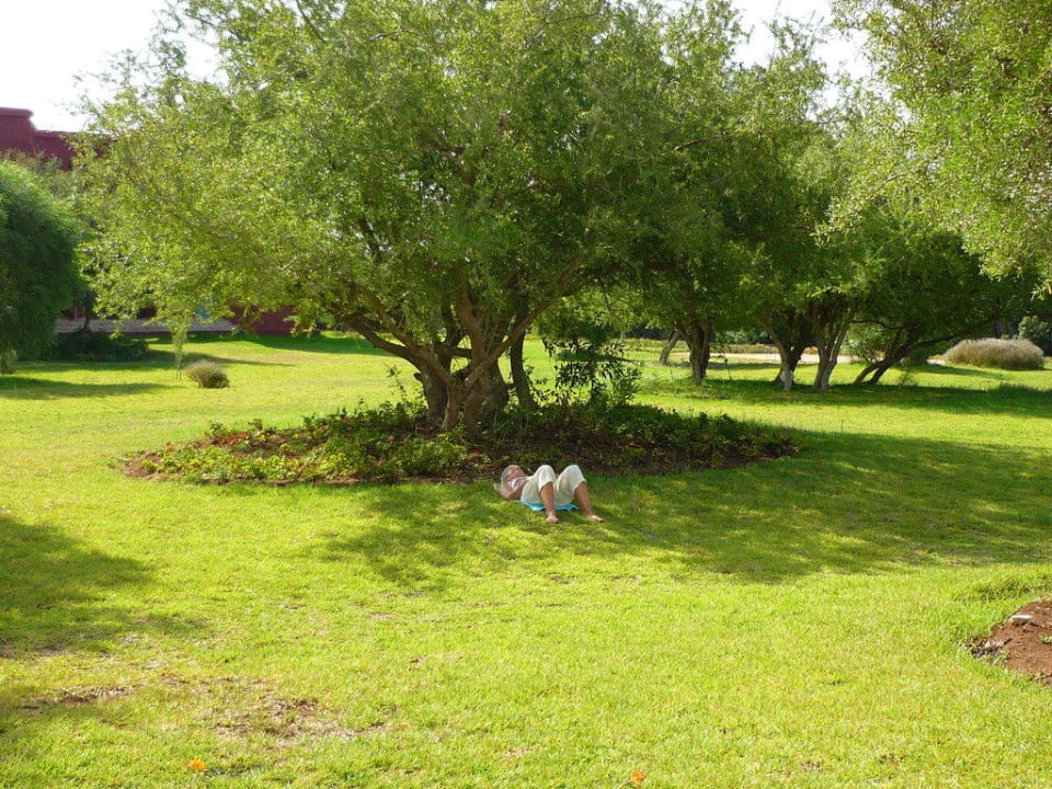 Jardin Hotel L'arganeraie