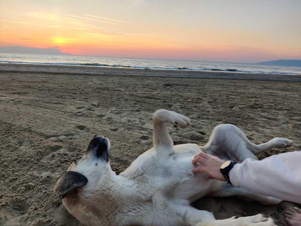 Strand Korumar Ephesus Beach & Spa Resort