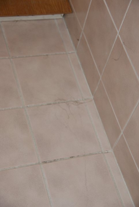 Badfliesen Spinnweben Hotel Traunerhof