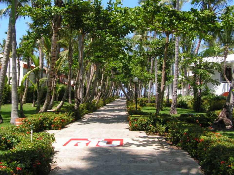 Die Anlage Hotel Riu Palace Bavaro