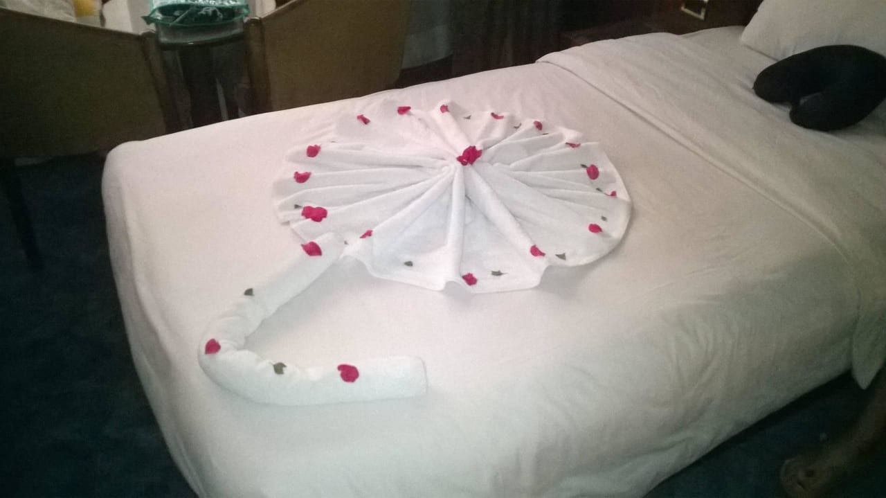 Das ist ein Trinkgeld wert, Zimmer top sauber Hurghada Long Beach Resort