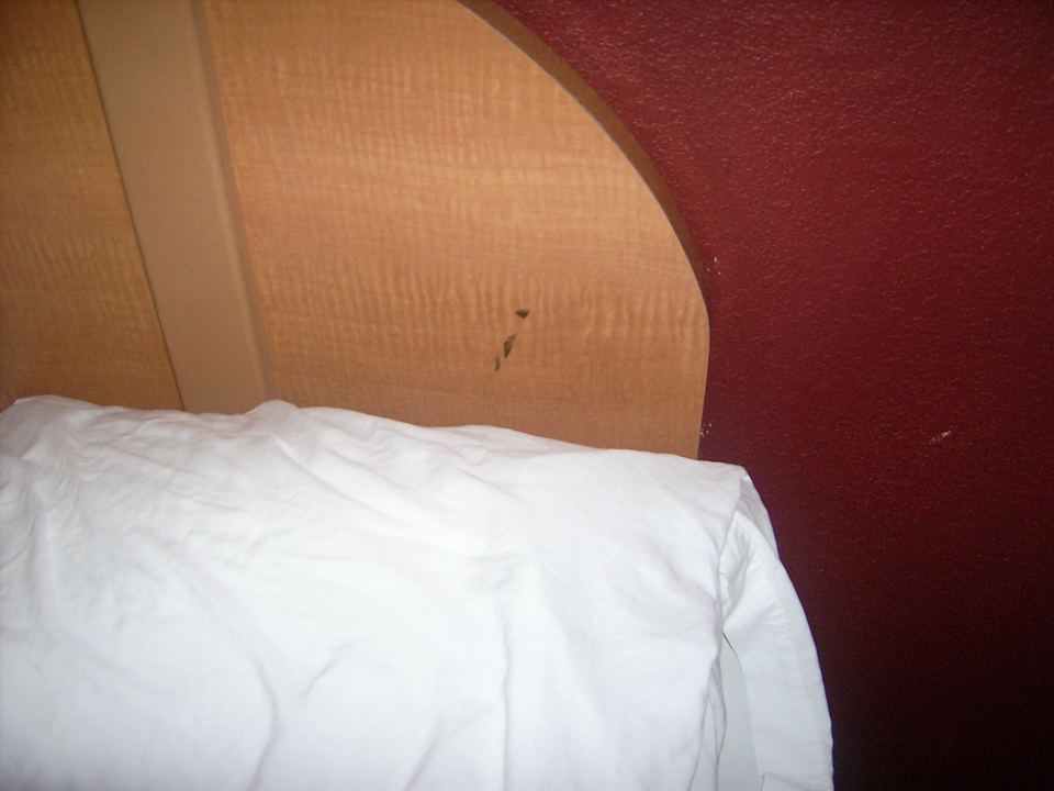 Schmuddelflecken am Bettrahmen Hotel Rodeway Inn Maingate