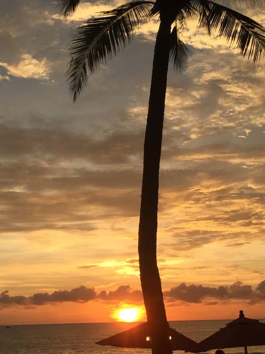 Ausblick Khaolak Laguna Resort