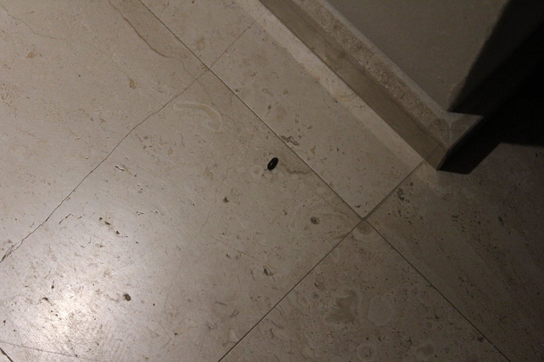 Ungebetene Gäste auf dem Zimmer Grande Baia Resort & Spa