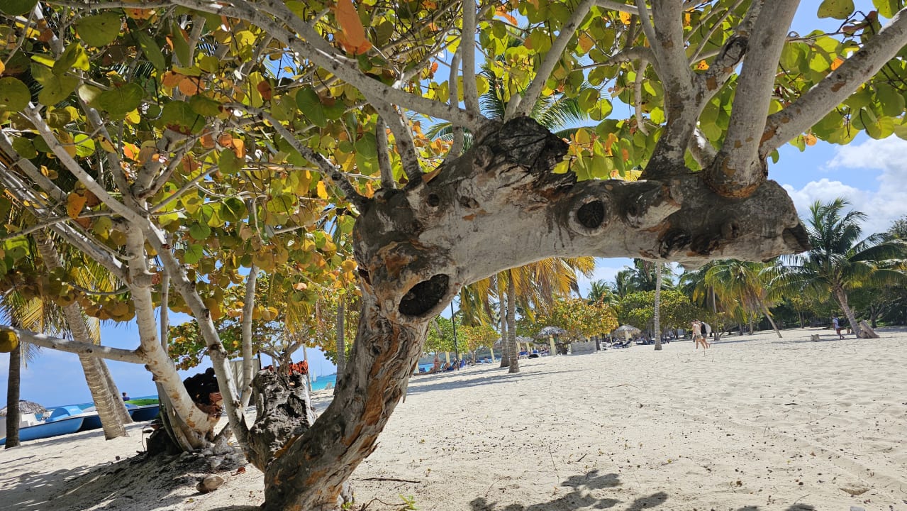 Strand Sol Rio De Luna y Mares