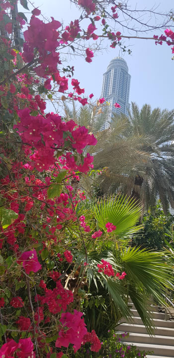 Gartenanlage Le Meridien Mina Seyahi Beach Resort & Waterpark