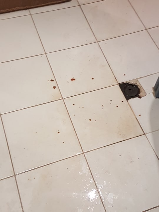 Lobby Royal Park Hotel & Aqua park