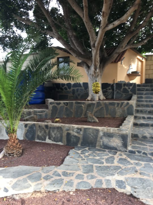 Gartenanlage Finca San Juan (Batista)