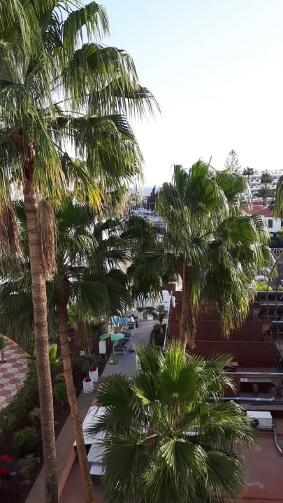 Meerblickzimmer ?? Servatur Playa Bonita