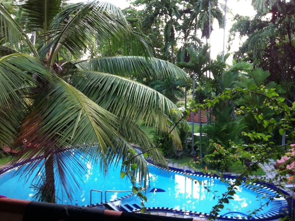 Pool  Ayubowan Swiss Lanka Bungalow Resort