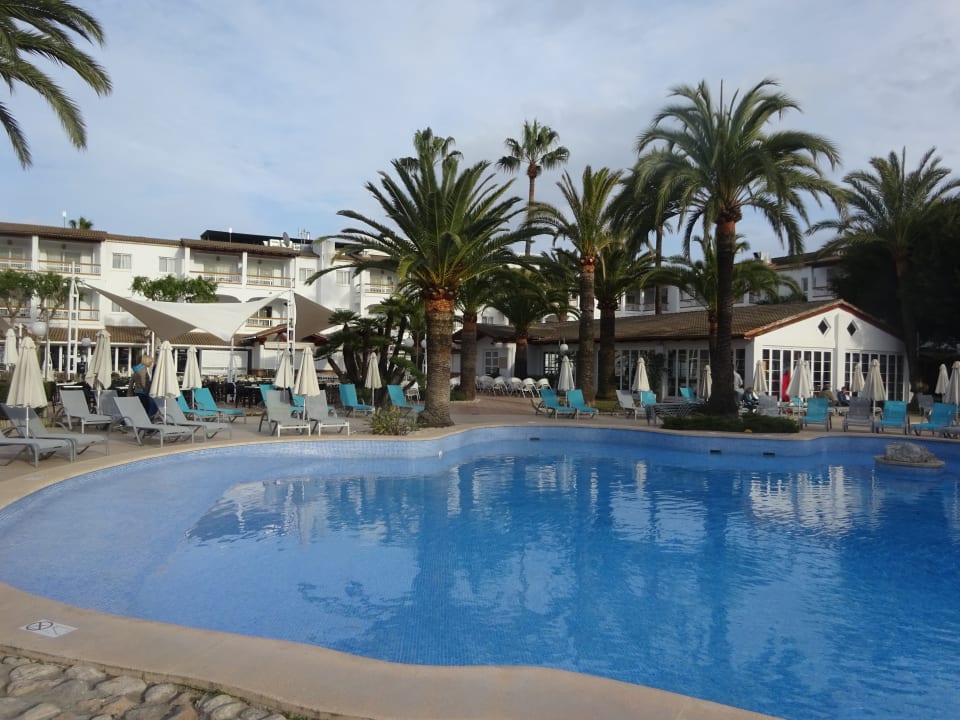 Pool Alcudia Garden Aparthotel