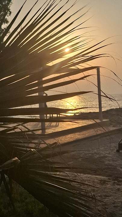 Sonstiges Ajman Saray, a Luxury Collection Resort