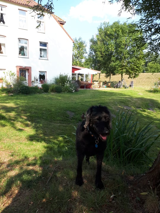 Außenansicht Hotelpension Altes Zollhaus-Leybucht