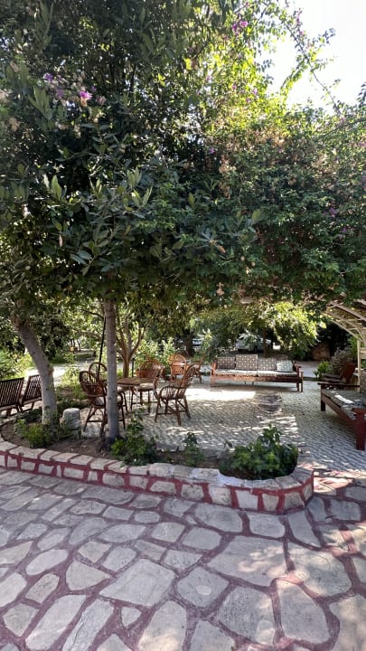 Gartenanlage Hotel Neptün/Neptun