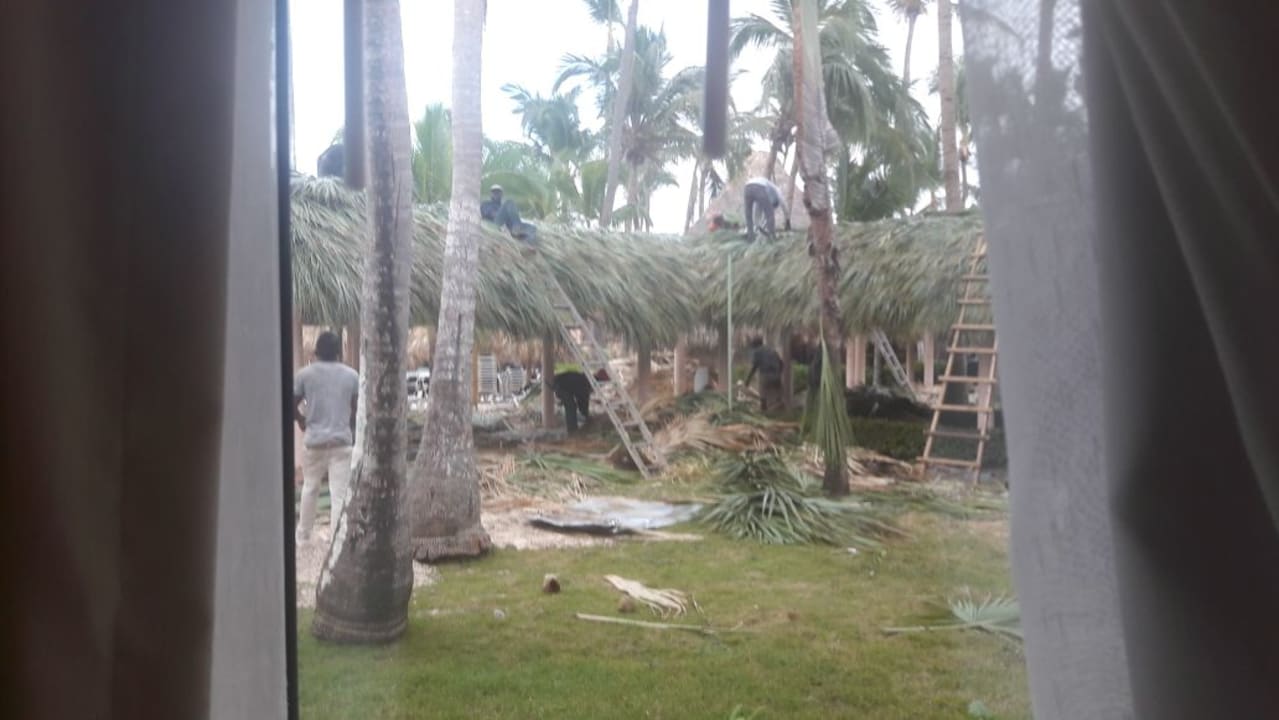 Gartenanlage Hotel Grand Palladium Palace Resort, Spa & Casino