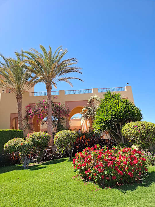 Gartenanlage Steigenberger Coraya Beach - Adults only