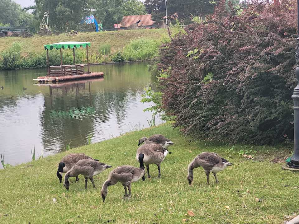 Ausblick Heide Park Abenteuerhotel